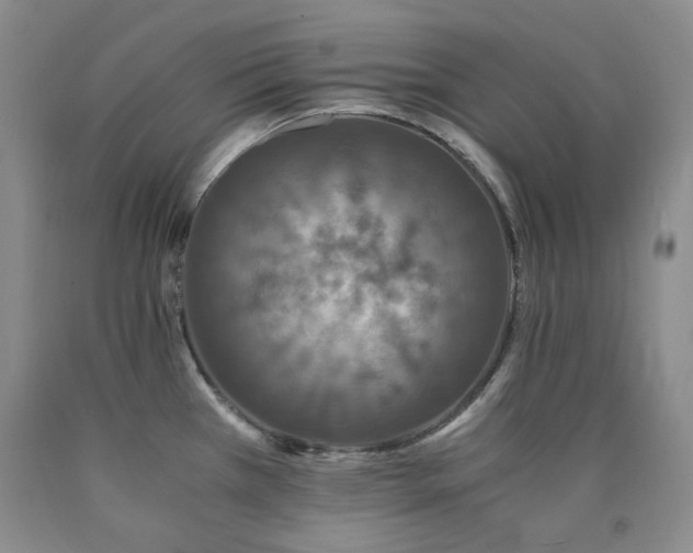 X0000090761385200707201454