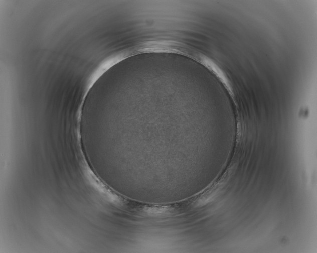 X0000090761386200707201454