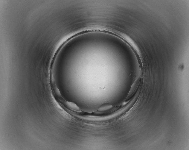 X0000090761388200707201454