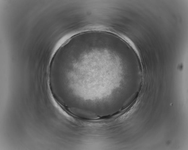 X0000090761389200707201454