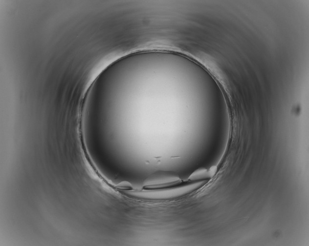 X0000090761390200707201454