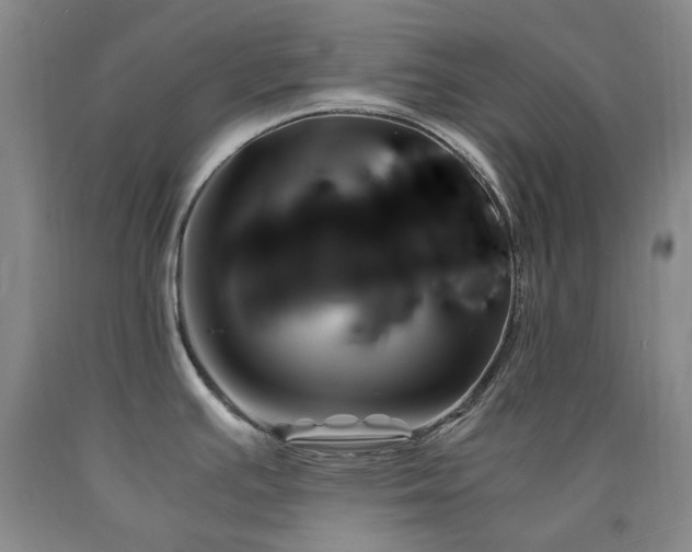 X0000090761391200707201454