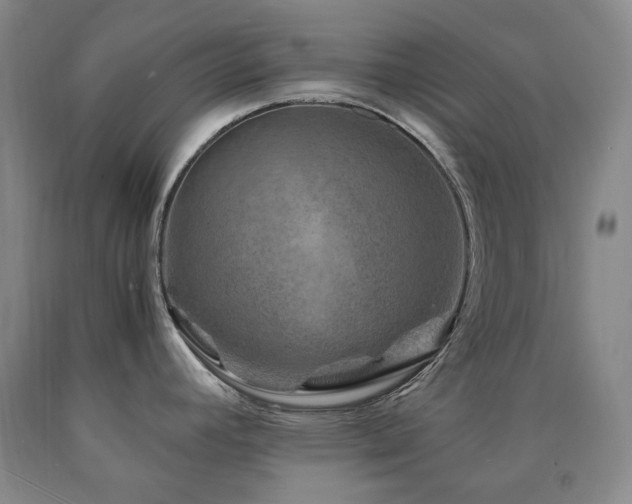 X0000090761392200707201454