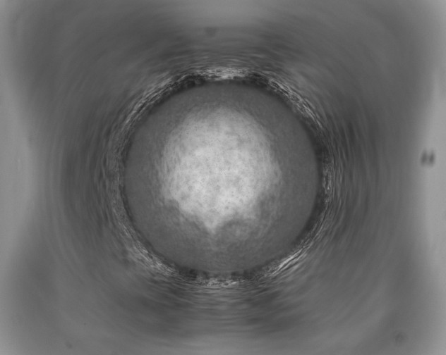 X0000090761393200707201454