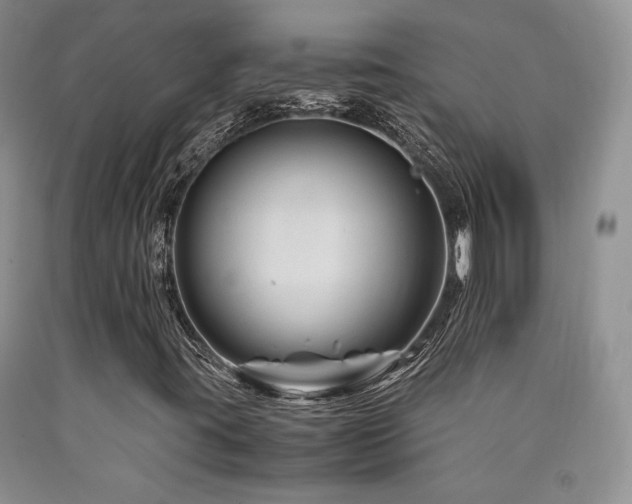 X0000090761395200707201454