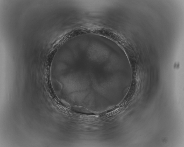 X0000090761397200707201454