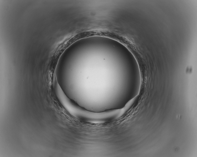 X0000090761398200707201454