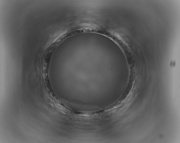 X0000090761399200707201454