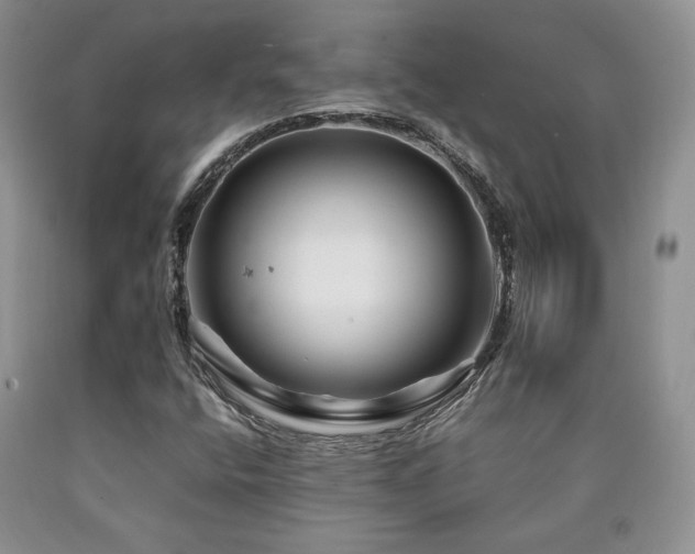 X0000090761400200707201454