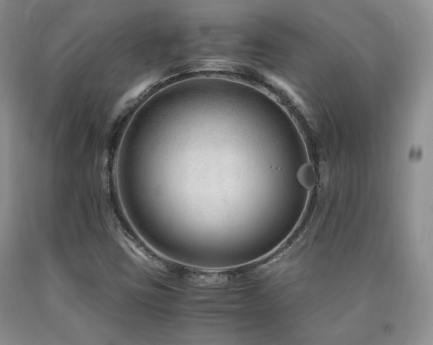 X0000090761403200707201454