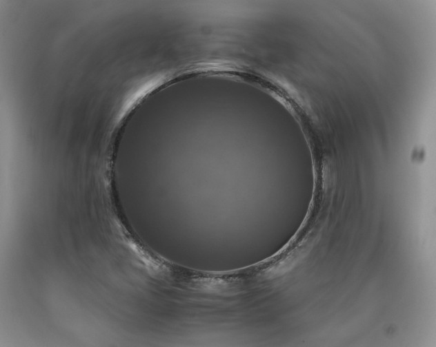 X0000090761405200707201454