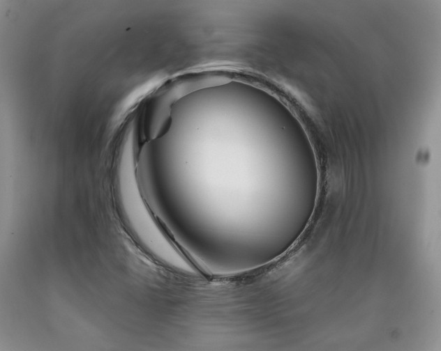 X0000090761406200707201454