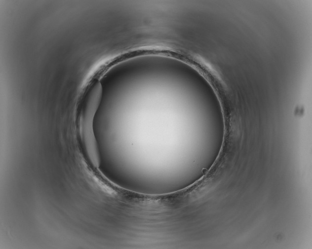 X0000090761408200707201454