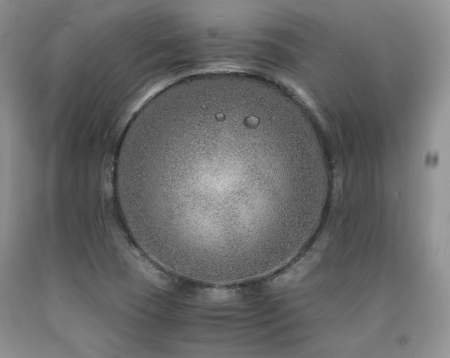 X0000090761409200707201454