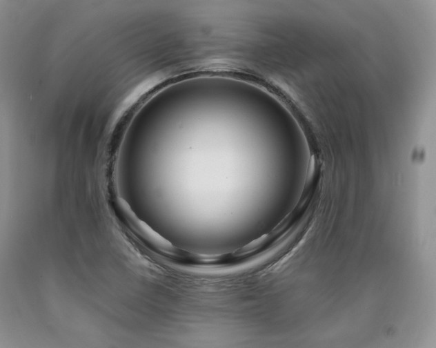 X0000090761410200707201454