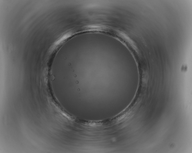 X0000090761411200707201454