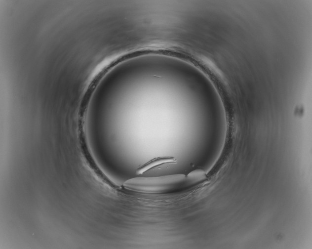 X0000090761412200707201454