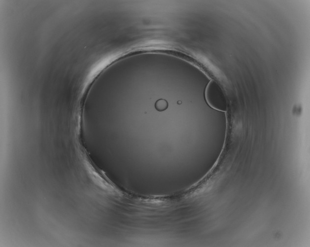 X0000090761413200707201454