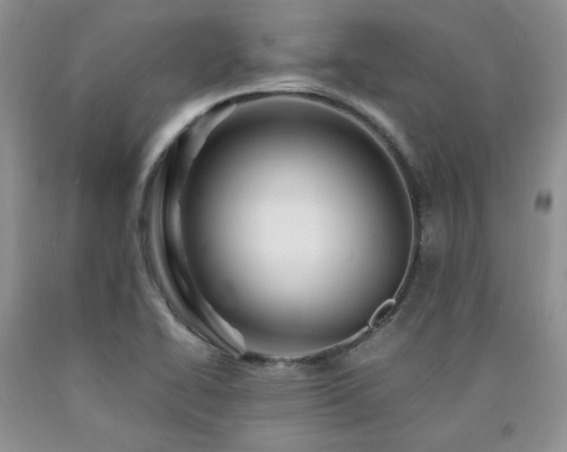 X0000090761414200707201454