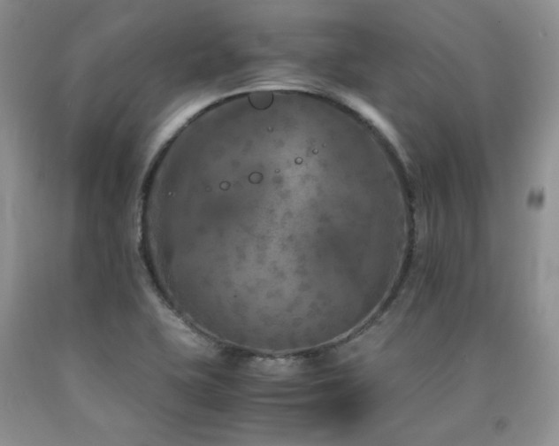 X0000090761415200707201454