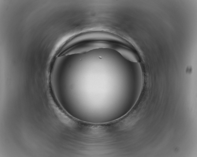 X0000090761416200707201454