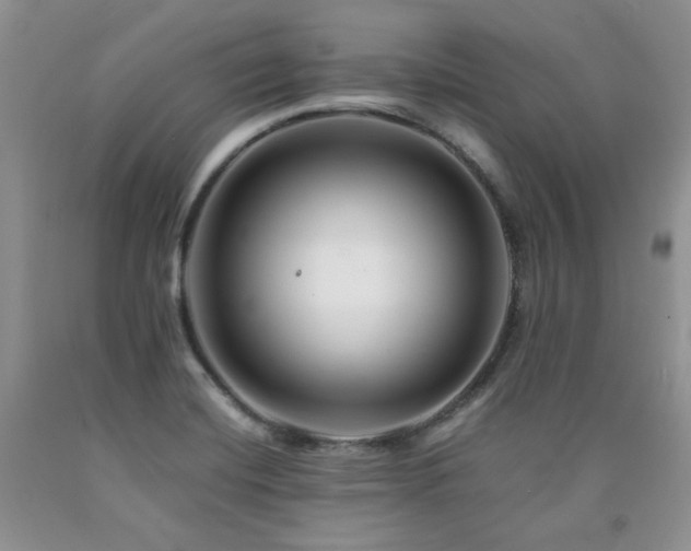 X0000090761420200707201454