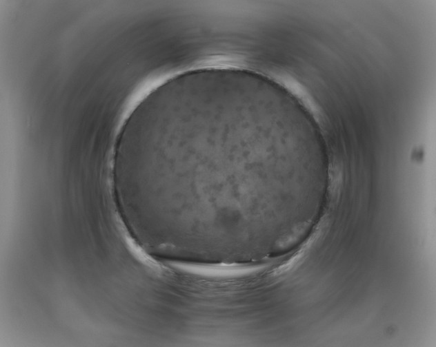 X0000090761421200707201454