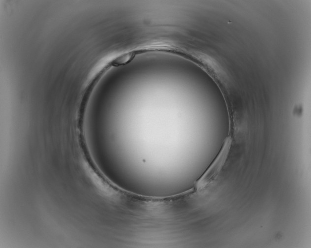 X0000090761422200707201454