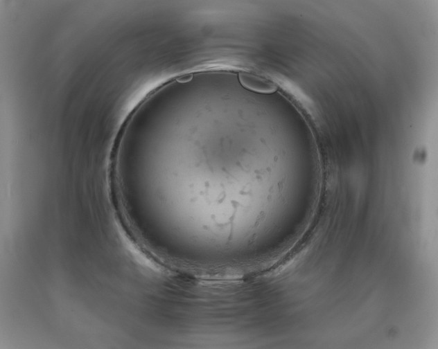 X0000090761423200707201454