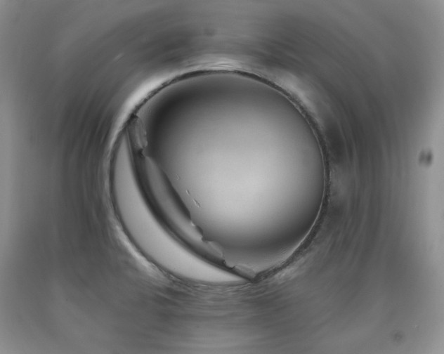 X0000090761424200707201454