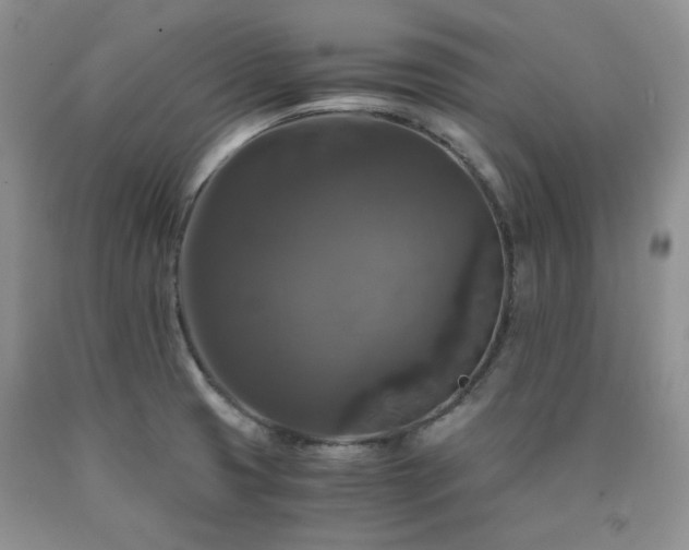 X0000090761425200707201454