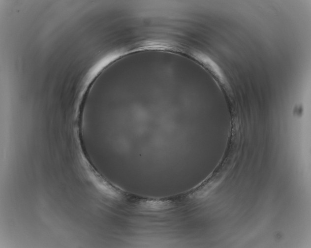 X0000090761427200707201454