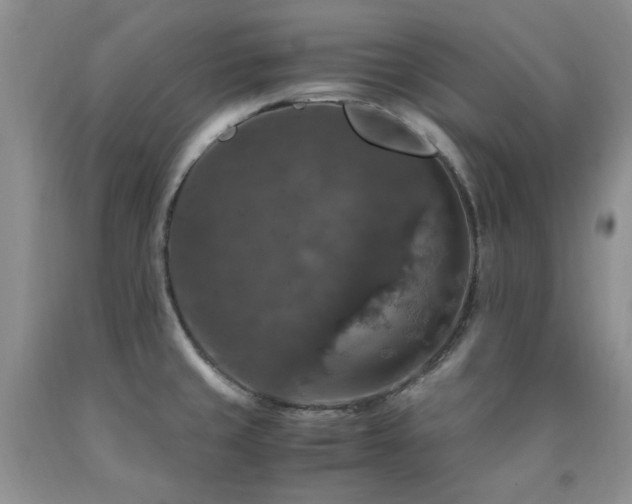 X0000090761429200707201454