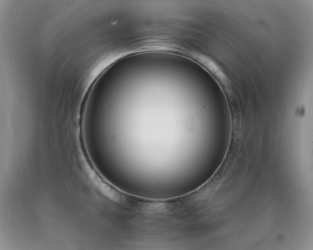 X0000090761431200707201454