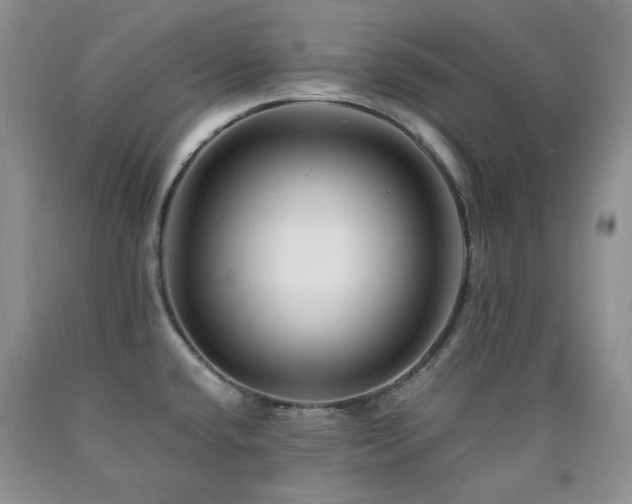 X0000090761432200707201454