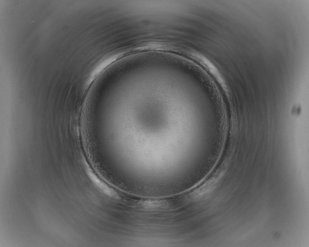 X0000090761433200707201454