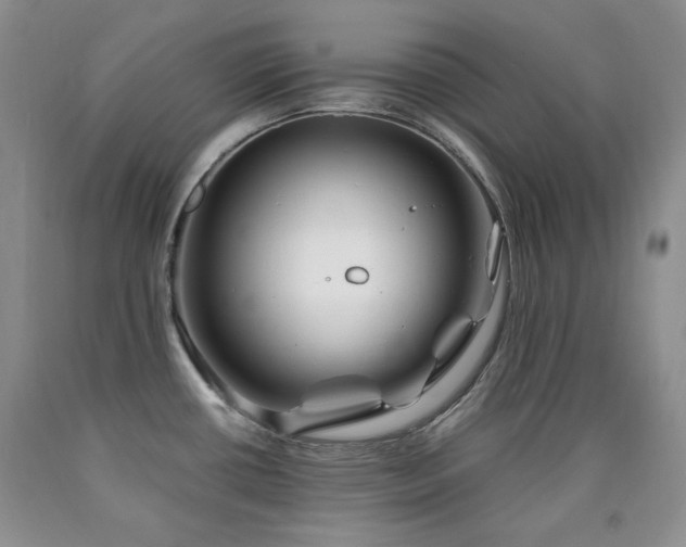 X0000090761434200707201454