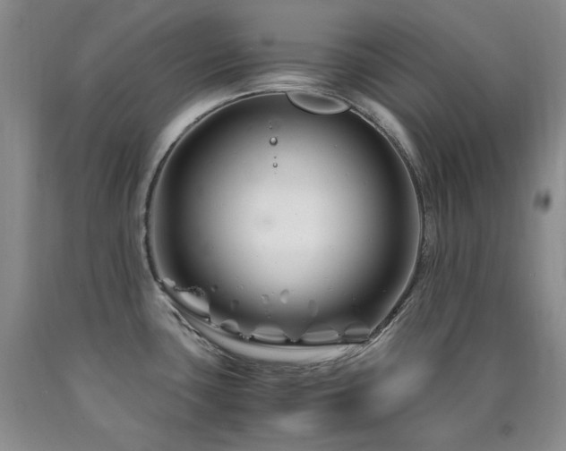 X0000090761435200707201454