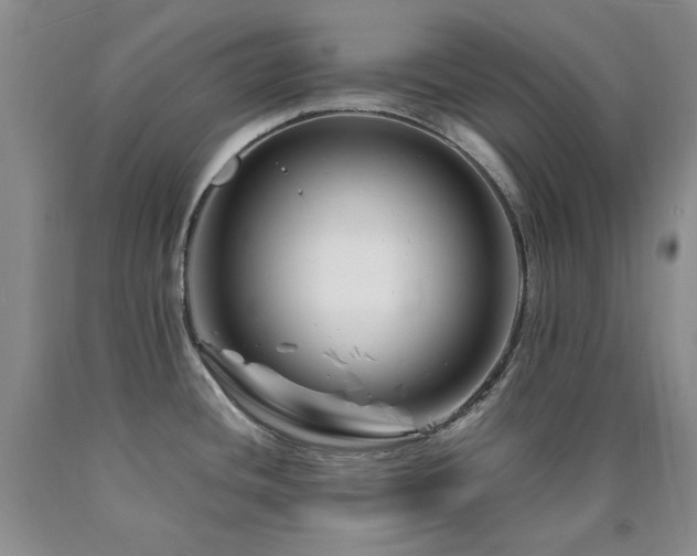 X0000090761436200707201454