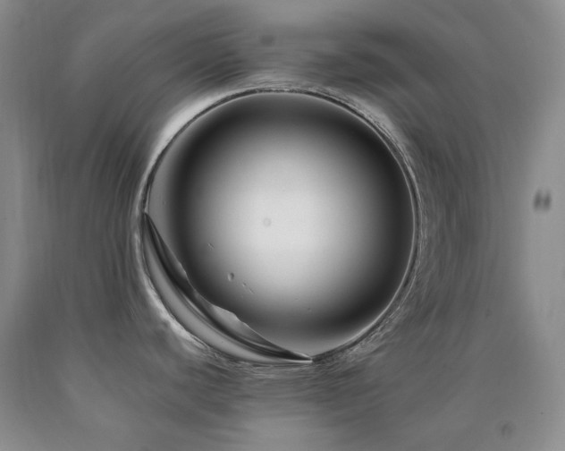 X0000090761440200707201454