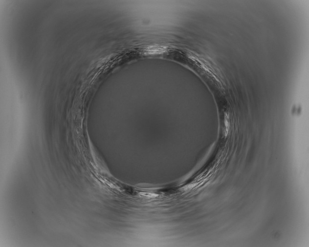 X0000090761441200707201454