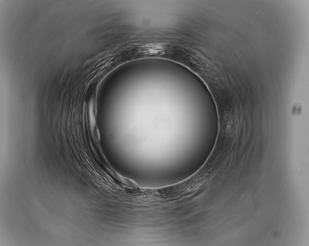 X0000090761442200707201454