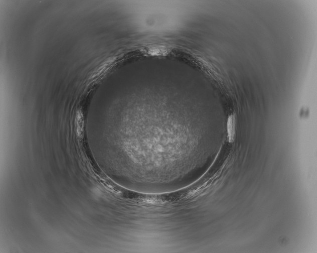 X0000090761443200707201454