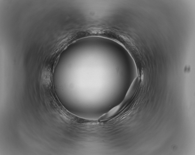 X0000090761444200707201454