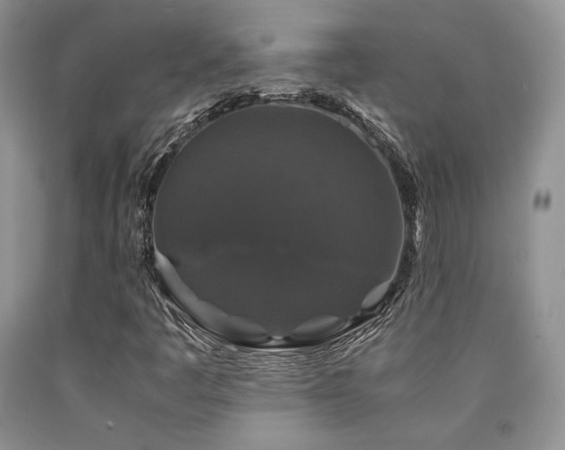 X0000090761445200707201454