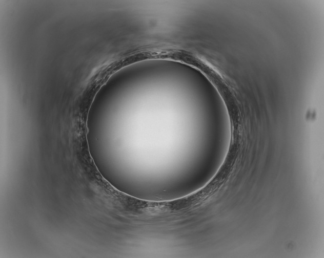 X0000090761447200707201454