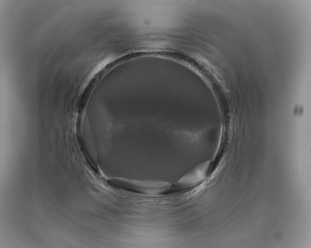 X0000090761449200707201454