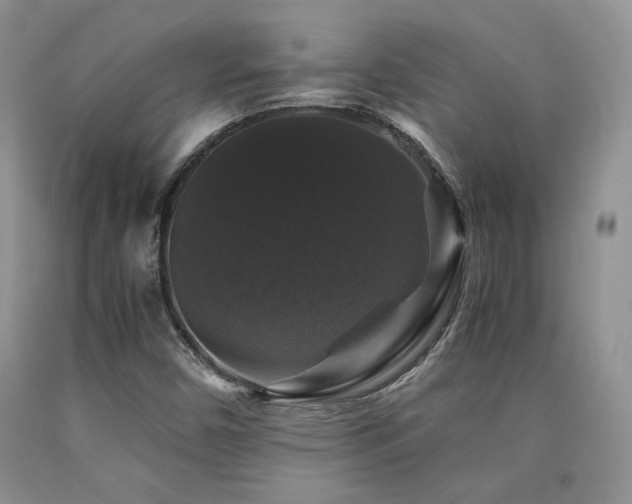 X0000090761450200707201454