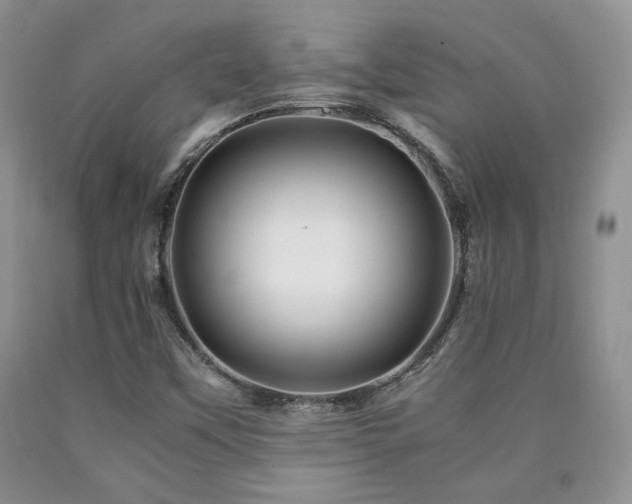 X0000090761451200707201454