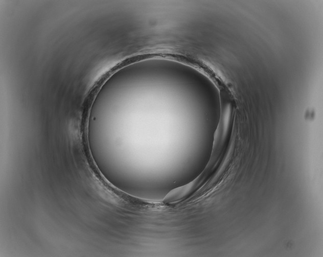 X0000090761452200707201454